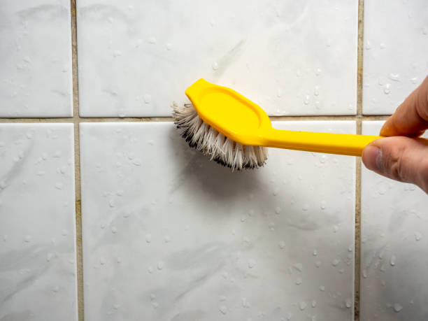 Best Water Damage Restoration  in Cottonde, AL