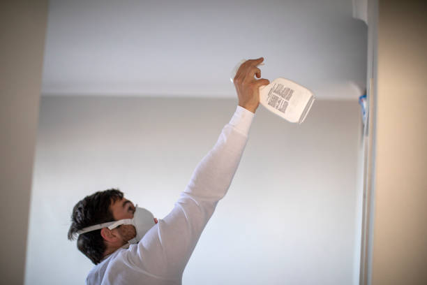 Best Affordable Mold Removal  in Cottonde, AL