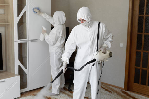 Best Certified Mold Removal  in Cottonde, AL